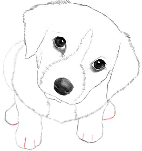 How To Draw A Puppy Really Easy Drawing Tutorial – NBKomputer