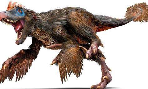 13 Valiant Facts About Velociraptors | The Fact Site