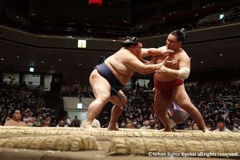 Grand Sumo Tournament Tickets & Guided Visit 2024 - Tokyo