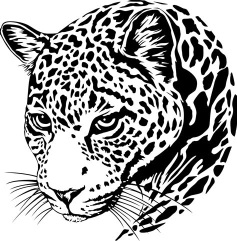 Jaguar clipart vector, Jaguar vector Transparent FREE for download on ...