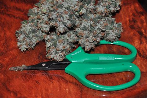 PRO 420 Scissors PRO 420 Scissors - PRO 420 Trimmer's Choice