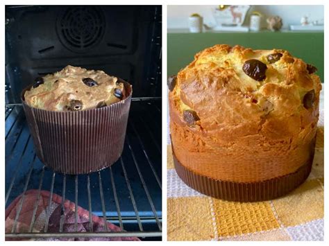 Easy Homemade Savory Panettone for Beginners - Recipes from Italy