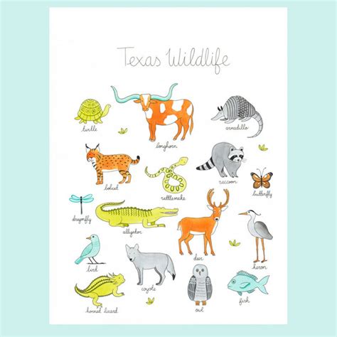 Texas Wildlife Art Print – Lost Pines Art Bazaar