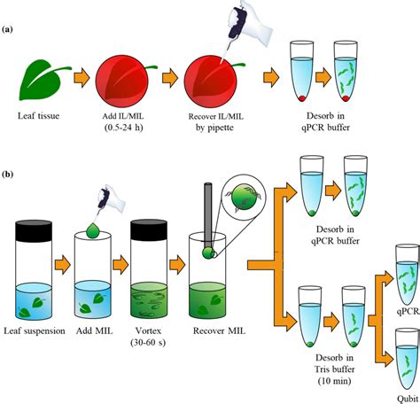 Schematic illustrating the a static and b dispersive one-step lysis and... | Download Scientific ...