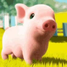 Pig GIFs | Tenor