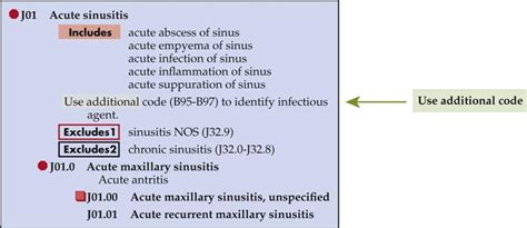 Diseases of the Respiratory System: (ICD-10-CM Chapter 10, Codes J00 ...