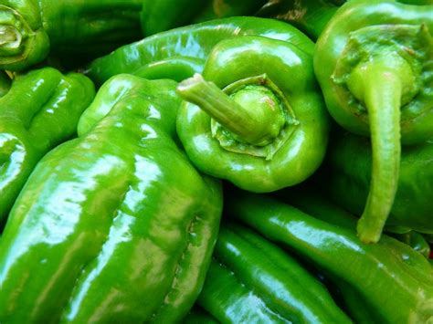 Green Bell Pepper · Free Stock Photo