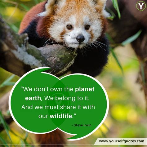 World Wildlife Day 2025 Quotes - Elysee Oralla