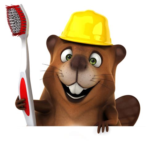 New Study: Beaver Teeth Have Secret Decay-Proof Ingredient