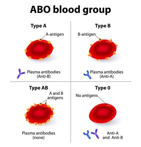 Blood Group Test