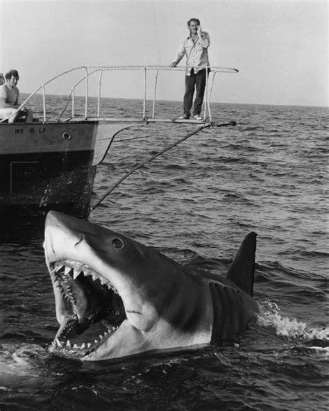 40 years of Spielberg's Jaws – in pictures | Film | The Guardian