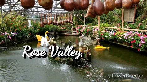 Rose Valley, Cameron Highlands - YouTube