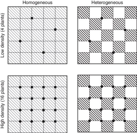 Experimental Design. Darkly Shaded And Unshaded Squares Represent High 19E