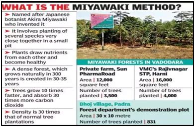 Miyawaki Forests: A Unique Approach to Afforestation | Legacy IAS