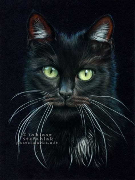 Black Cat Drawing Realistic - Cat's Blog