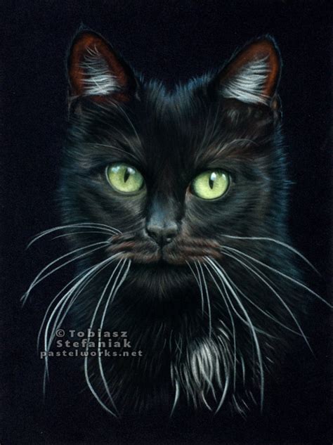 Descubrir 63+ imagen cat noir pastel - Abzlocal.mx