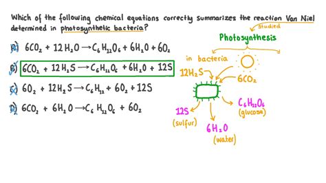 Question Video: Recalling the Correct Chemical Equation for Photosynthesis in Bacteria | Nagwa