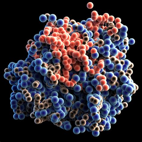 3d model protein molecule