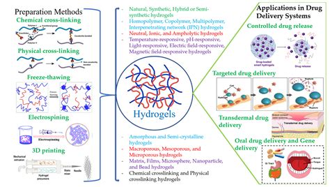 Gels | Free Full-Text | Polymer-Based Hydrogels Applied in Drug ...