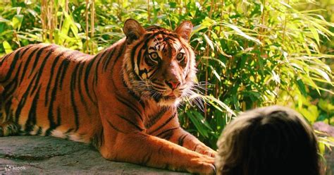 Rotterdam Zoo Admission - Klook India