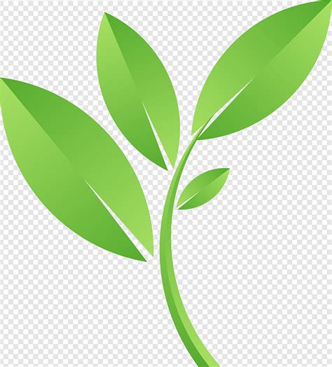 Gambar Vektor Daun Png PNG Download Gratis - Gambarpng.id