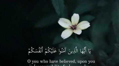 734 Islamic Quotes Islamic Wallpaper 4k For Pc Images - MyWeb