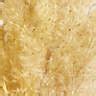 Grass Plume Dried Botanical Bunch + Reviews | Crate & Barrel
