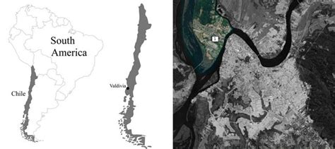 Location of Isla Teja district (1) within the city of Valdivia, Chile. | Download Scientific Diagram