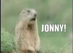 Funny Animals Gopher GIF - Funny Animals Gopher Shouting - Discover ...