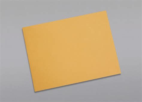 Custom Printed 6 x 9 Catalog Envelopes with Peel & Stick | Brown Kraft