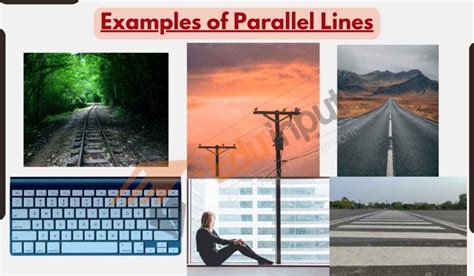 20 Examples of Parallel Lines