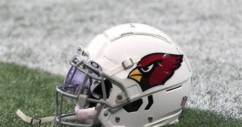 Cardinals Issue Statement on Bill Bidwill Jr.'s Wife Nicole's Arrest ...