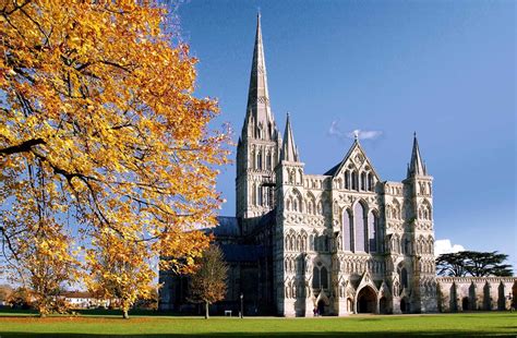 BARRY the BIRDER: Salisbury Cathedral's new Peregrine Falcon