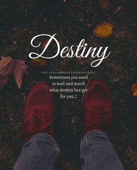 Destiny Quotes