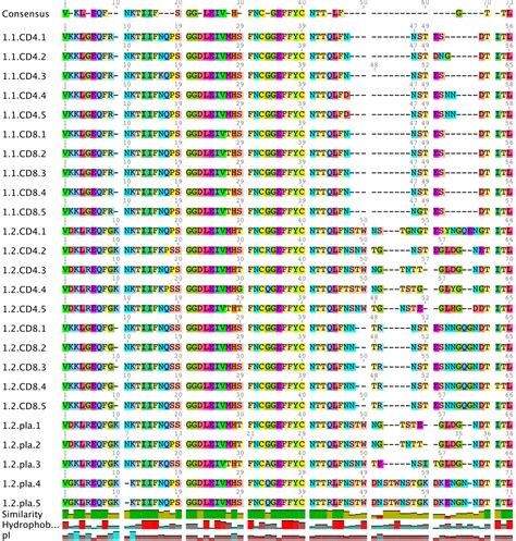 Amino acid sequence; Protein Structure, Primary