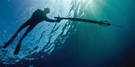 Don't Fear the Spear, Spearfishing Near Tampa Bay- Tampa Magazine