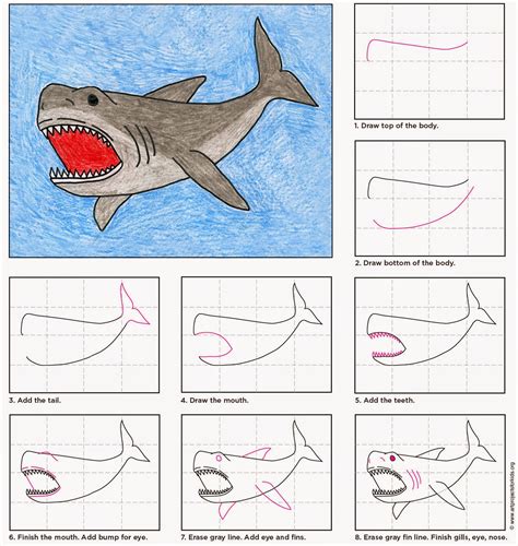 Shark Drawing Step By Step at GetDrawings | Free download