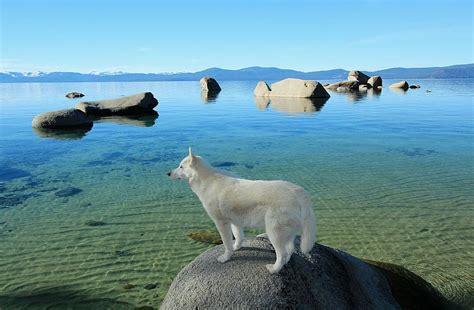 Sekani Rocks Photograph by Sean Sarsfield - Fine Art America