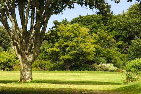 Garden Scenery and Blue Sky Background Stock Image - Image of outside ...