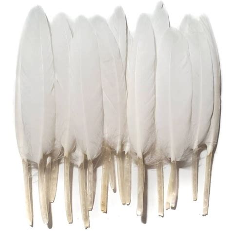 White Goose Feathers 10 Pieces 4-6 Inches - Etsy