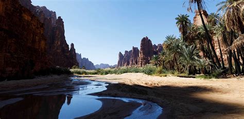 Tabuk | Saudi Arabia | Luxe and Intrepid Asia | Remote Lands