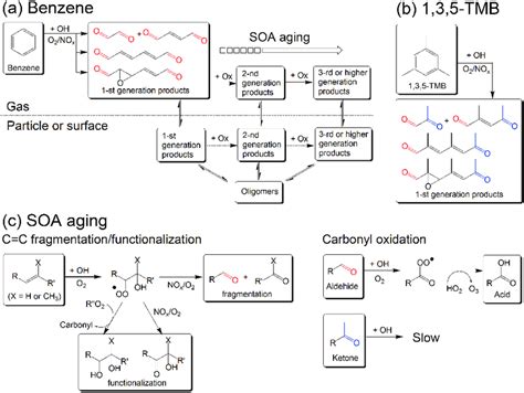 Reaction schemes of (a) SOA formation from benzene photooxidation, (b)... | Download Scientific ...