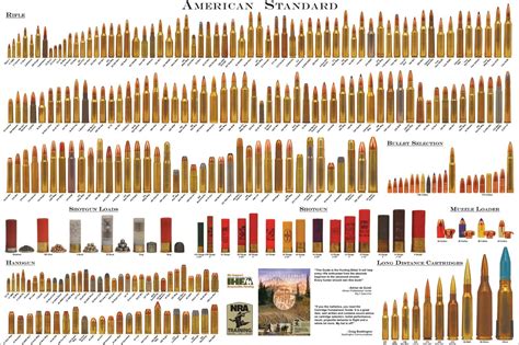 American Standard Bullet Comparison Guide Chart Print Poster | eBay