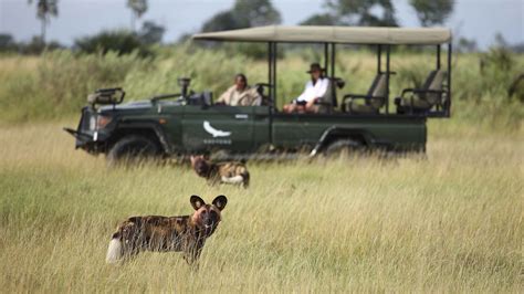 African wild dog conservation in Botswana | &Beyond