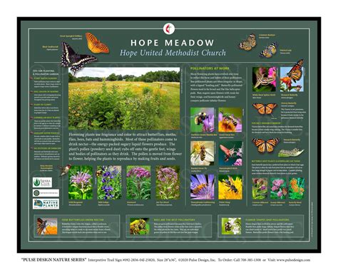 PDNS Pollinator Garden Monarch Butterfly Bee Habitat Outdoor ...