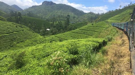 Visit Nuwara Eliya: 2024 Travel Guide for Nuwara Eliya, Central ...