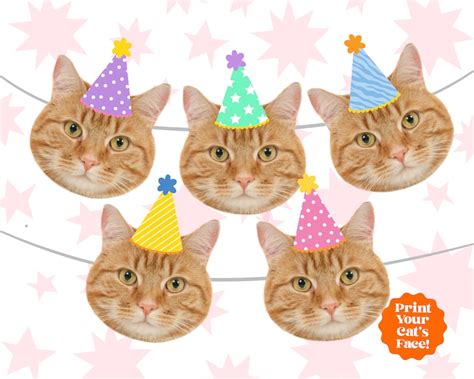 Custom Cat Photo Banner Cat Birthday Banner Pet Photo - Etsy