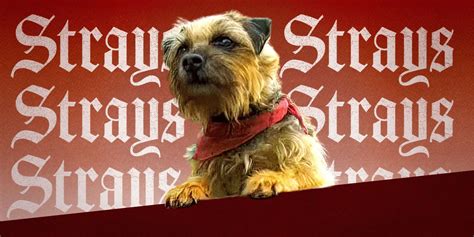 'Strays' Featurette Shows Off Will Ferrell and the All-Star Voice Cast - Crumpe