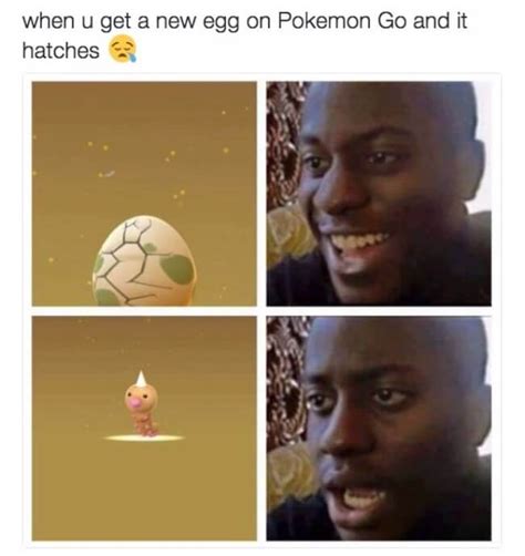 29 Hysterical Pokemon GO Memes That Prove We All Have Too Much Free Time