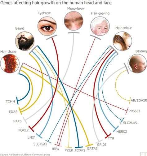 1 mars 2016 – Des scientifiques découvrent le gène spécifique qui conduit aux cheveux gris ...